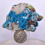 4.6cms  QUARTZ CHRYSOCOLLA TENTADORA Mine Peru Grape Botryoidal Stalactite Crystals Rare Ajoite (?)Mineral Specimen Collectors ce979