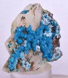 4.6cms  QUARTZ CHRYSOCOLLA TENTADORA Mine Peru Grape Botryoidal Stalactite Crystals Rare Ajoite (?)Mineral Specimen Collectors ce979
