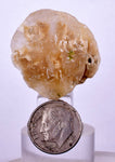 11  MINERALS COLLECTION Flat Pyrite Wholesale Peru Chrysocolla Agate Including Display Box J541