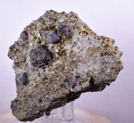 7.8cms GALENA PYRITE PERU Crystals Cluster Collectors Mineral Specimen G247