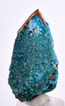 4.7cms  QUARTZ CHRYSOCOLLA TENTADORA Mine Peru Grape Botryoidal Stalactite Crystals Rare Ajoite (?)Mineral Specimen Collectors ce986