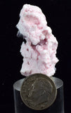 3.8cms RHODOCHROSITE ROSETTE QUARTZ Peru Pink Crystals Collector Mineral Specimen R616