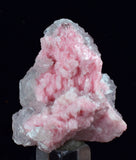 3.7cms RHODOCHROSITE CALCITE CRYSTAL Huanzala Peru Pink Mineral Specimen R612
