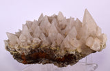 13cms CALCITE TOOTH DOG Peru Crystals Mineral Specimen Collector G246