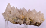 13cms CALCITE TOOTH DOG Peru Crystals Mineral Specimen Collector G246