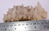 13cms CALCITE TOOTH DOG Peru Crystals Mineral Specimen Collector G246