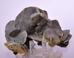 12cms SELENITE DESERT ROSE Gypsum Crystals Collectors Peru Mineral Specimen t412