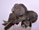 12cms SELENITE DESERT ROSE Gypsum Crystals Collectors Peru Mineral Specimen t412