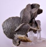 12cms SELENITE DESERT ROSE Gypsum Crystals Collectors Peru Mineral Specimen t412