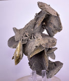 12.5cms SELENITE DESERT ROSE Gypsum Crystals Collectors Peru Mineral Specimen t413