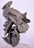 12.5cms SELENITE DESERT ROSE Gypsum Crystals Collectors Peru Mineral Specimen t413