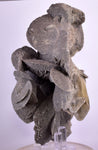 12.5cms SELENITE DESERT ROSE Gypsum Crystals Collectors Peru Mineral Specimen t413
