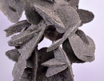 12.5cms SELENITE DESERT ROSE Gypsum Crystals Collectors Peru Mineral Specimen t413
