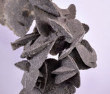 12.5cms SELENITE DESERT ROSE Gypsum Crystals Collectors Peru Mineral Specimen t413