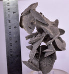 12.5cms SELENITE DESERT ROSE Gypsum Crystals Collectors Peru Mineral Specimen t413