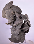 12.5cms SELENITE DESERT ROSE Gypsum Crystals Collectors Peru Mineral Specimen t413