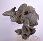 10cms SELENITE DESERT ROSE Gypsum Crystals Collectors Peru Mineral Specimen t414