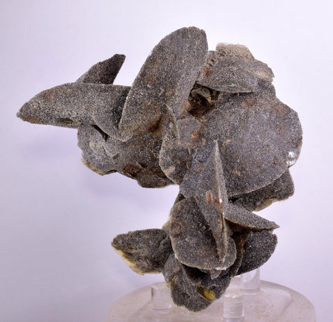 10cms SELENITE DESERT ROSE Gypsum Crystals Collectors Peru Mineral Specimen t414