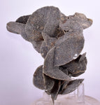 10cms SELENITE DESERT ROSE Gypsum Crystals Collectors Peru Mineral Specimen t414
