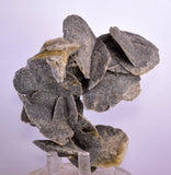 10cms SELENITE DESERT ROSE Gypsum Crystals Collectors Peru Mineral Specimen t414