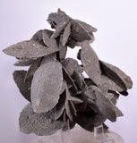 12.5cms SELENITE DESERT ROSE Gypsum Crystals Collectors Peru Mineral Specimen t415