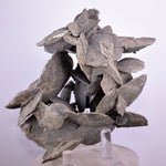 12.5cms SELENITE DESERT ROSE Gypsum Crystals Collectors Peru Mineral Specimen t415