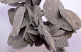 12.5cms SELENITE DESERT ROSE Gypsum Crystals Collectors Peru Mineral Specimen t415