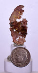 11  MINERALS COLLECTION Flat Pyrite Wholesale Peru Chrysocolla Agate Including Display Box J539