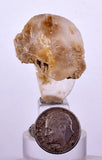 11  MINERALS COLLECTION Flat Pyrite Wholesale Peru Chrysocolla Agate Including Display Box J540