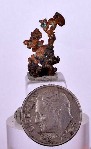 11  MINERALS COLLECTION Flat Pyrite Wholesale Peru Chrysocolla Agate Including Display Box J540