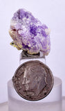 11  MINERALS COLLECTION Flat Pyrite Wholesale Peru Chrysocolla Agate Including Display Box J541