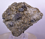 7.8cms GALENA PYRITE PERU Crystals Cluster Collectors Mineral Specimen G247