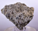 7.8cms GALENA PYRITE PERU Crystals Cluster Collectors Mineral Specimen G247