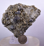 7.8cms GALENA PYRITE PERU Crystals Cluster Collectors Mineral Specimen G247
