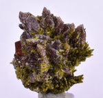 2.7cms AXINITE EPIDOTE  HEMATITE Crystals Cluster Prehnite Peru Mineral Specimen Collectors C997