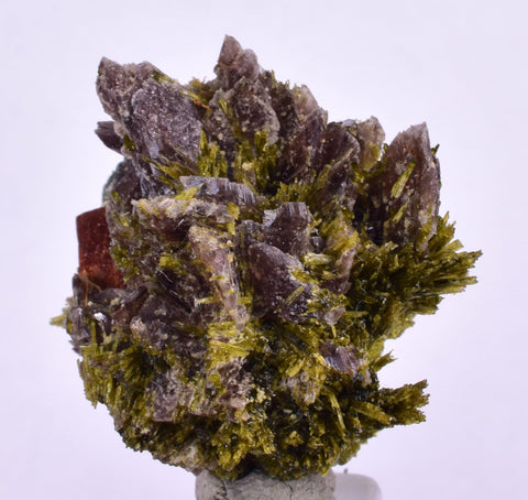 2.7cms AXINITE EPIDOTE  HEMATITE Crystals Cluster Prehnite Peru Mineral Specimen Collectors C997