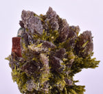 2.7cms AXINITE EPIDOTE  HEMATITE Crystals Cluster Prehnite Peru Mineral Specimen Collectors C997