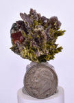 2.7cms AXINITE EPIDOTE  HEMATITE Crystals Cluster Prehnite Peru Mineral Specimen Collectors C997