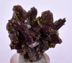 3.4cms AXINITE EPIDOTE Crystals Cluster Prehnite Peru Mineral Specimen Collectors C999