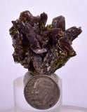 3.4cms AXINITE EPIDOTE Crystals Cluster Prehnite Peru Mineral Specimen Collectors C999