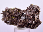 6.6cms AXINITE QUARTZ CRYSTALS Cluster Prehnite Peru Mineral Specimen Collectors A566