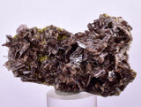 6.6cms AXINITE QUARTZ CRYSTALS Cluster Prehnite Peru Mineral Specimen Collectors A566