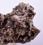 6.6cms AXINITE QUARTZ CRYSTALS Cluster Prehnite Peru Mineral Specimen Collectors A566
