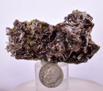 6.6cms AXINITE QUARTZ CRYSTALS Cluster Prehnite Peru Mineral Specimen Collectors A566