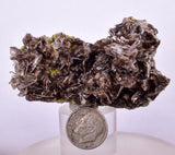 6.6cms AXINITE QUARTZ CRYSTALS Cluster Prehnite Peru Mineral Specimen Collectors A566