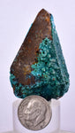 4.7cms  QUARTZ CHRYSOCOLLA TENTADORA Mine Peru Grape Botryoidal Stalactite Crystals Rare Ajoite (?)Mineral Specimen Collectors ce986