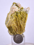 6.1cms EPIDOTE CALCITE CRYSTALS Cluster Peru Green Color Mineral Specimen C989