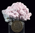 4.6cms RHODOCHROSITE ROSETTE SPHALERITE  Pyrite Peru Pink Crystals Collector Mineral Specimen R615