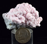 4.6cms RHODOCHROSITE ROSETTE SPHALERITE  Pyrite Peru Pink Crystals Collector Mineral Specimen R615