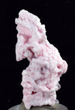 3.8cms RHODOCHROSITE ROSETTE QUARTZ Peru Pink Crystals Collector Mineral Specimen R616